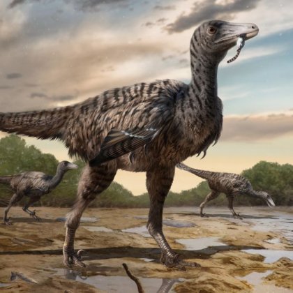 An illustration of several large raptor dinosaurs roaming on a plain.